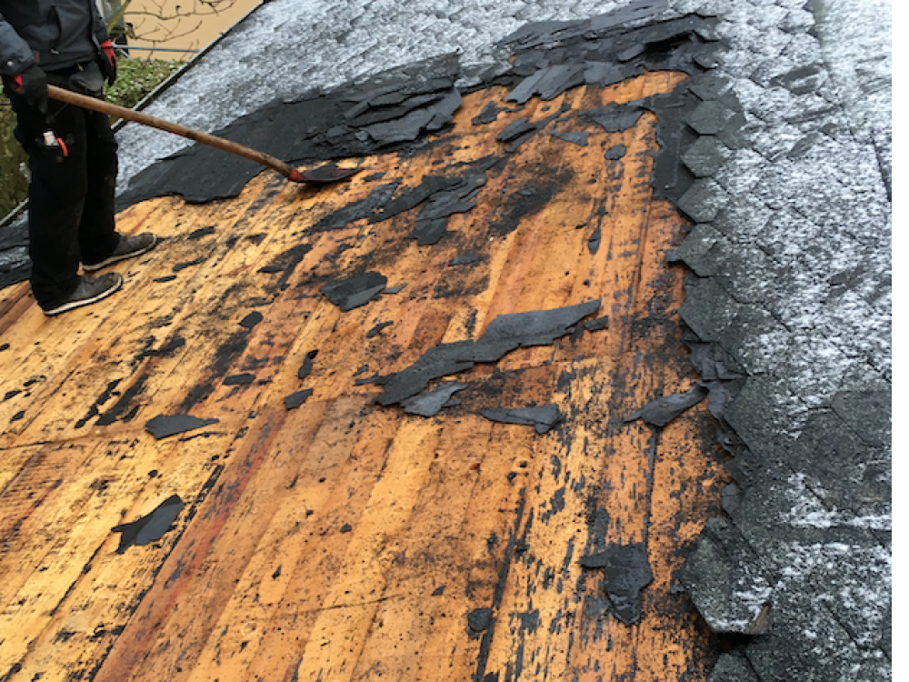 Abrissarbeiten Berlin